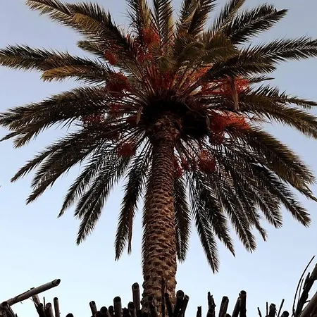 Turistico Dehesa de Campoamor (Orihuela Costa)